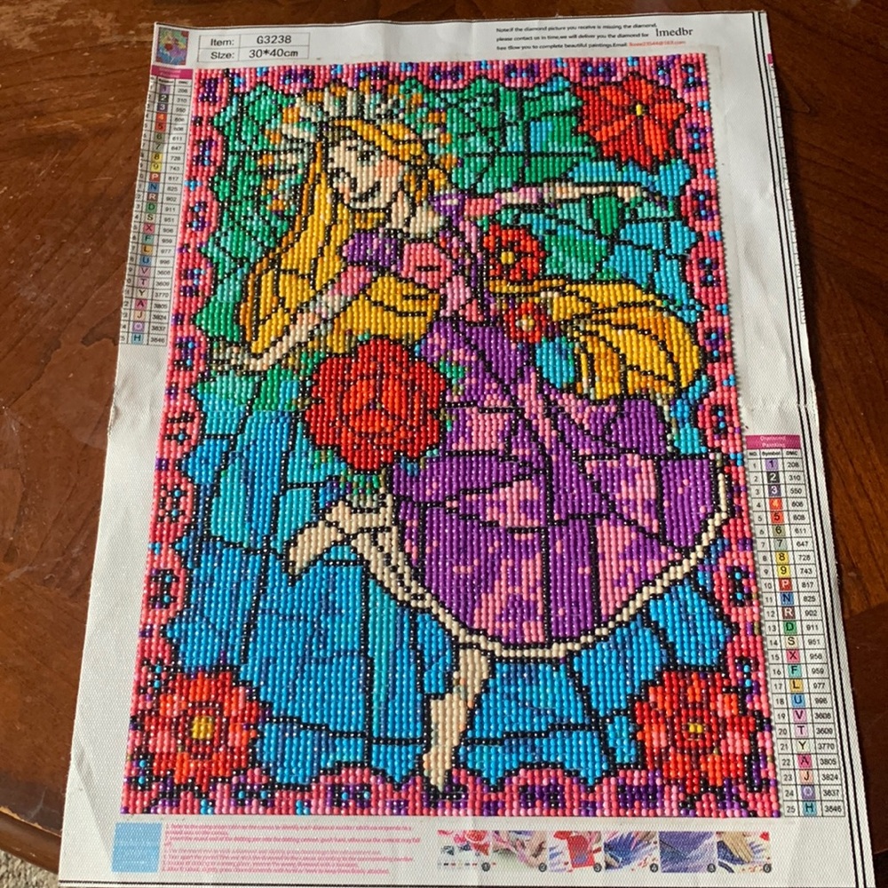 Rapunzel Already Done Diamond Art